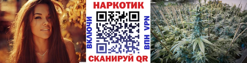 Купить наркотик Верхняя Пышма Гашиш Псилоцибиновые грибы Alpha PVP АМФ Меф Марихуана
