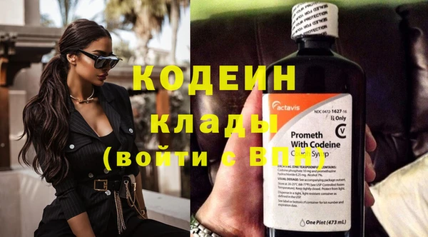 дурь Богданович