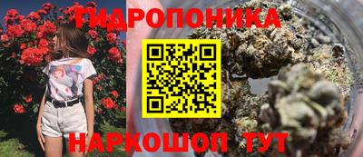 винт Нальчик