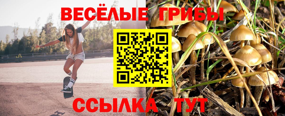 Верхняя Пышма  Псилоцибиновые грибы прущие грибы  Галлюциногенные грибы Psilocybine cubensis  Вход с VPN 